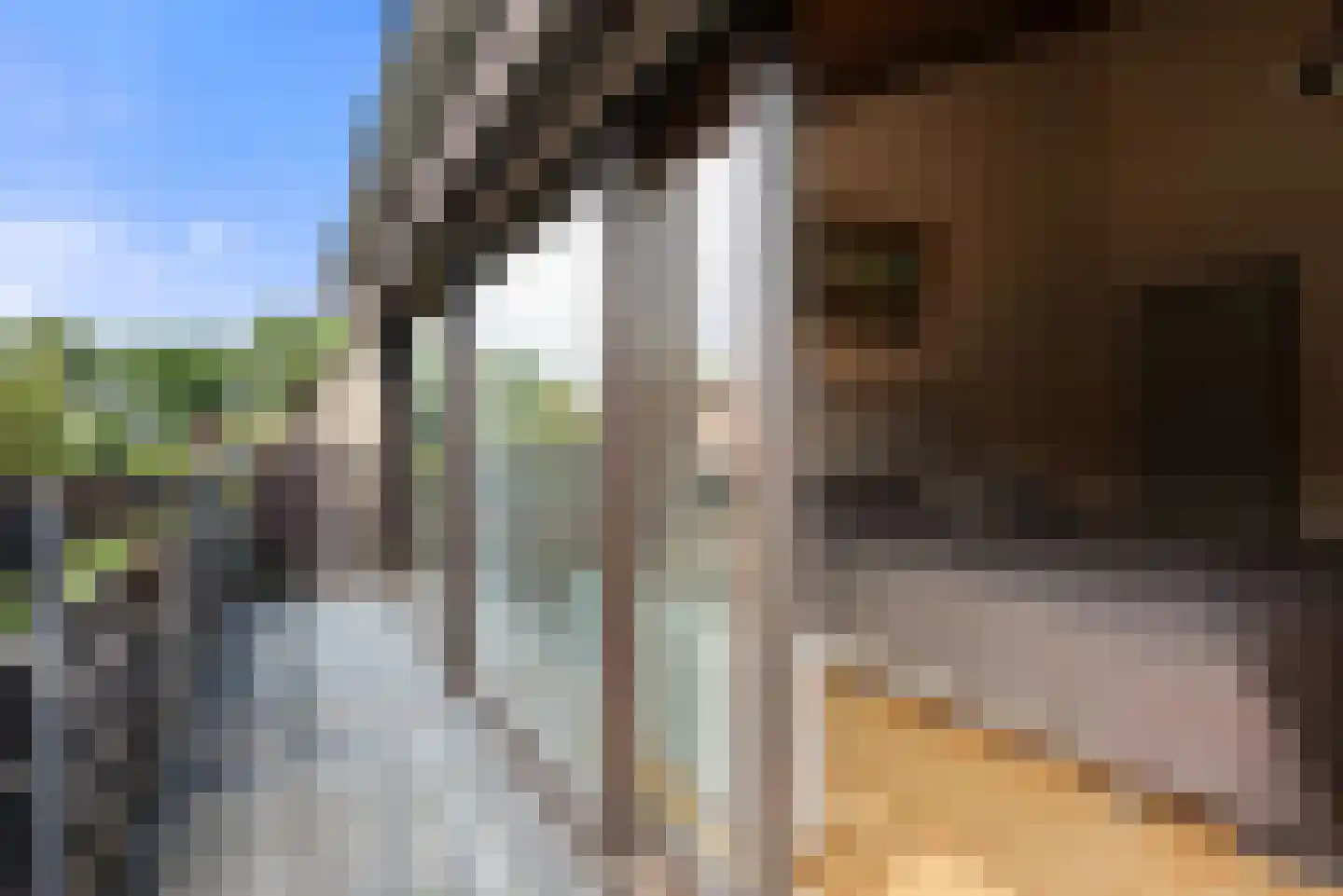 Paasberglaan 26 Eindhoven thumbnail 49
