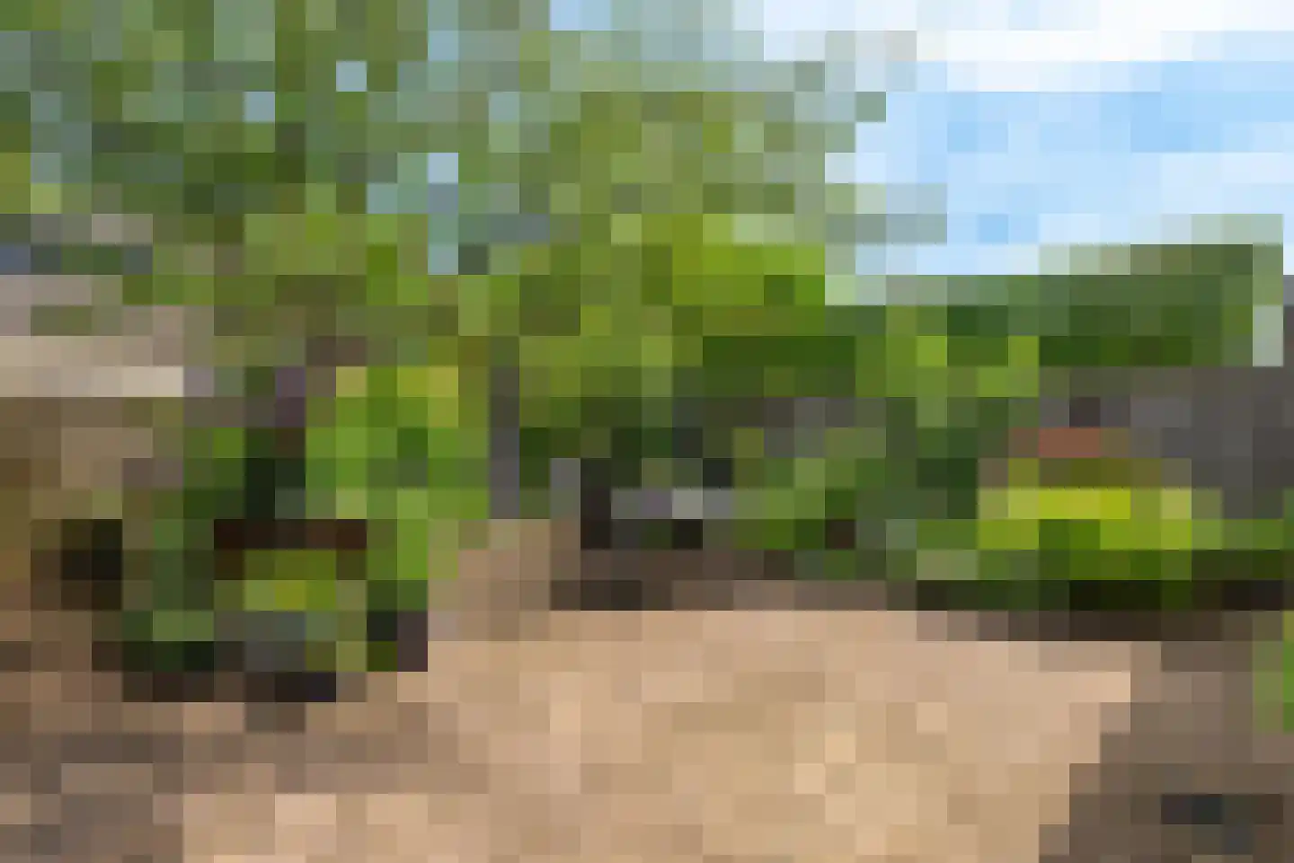 Paasberglaan 26 Eindhoven thumbnail 51