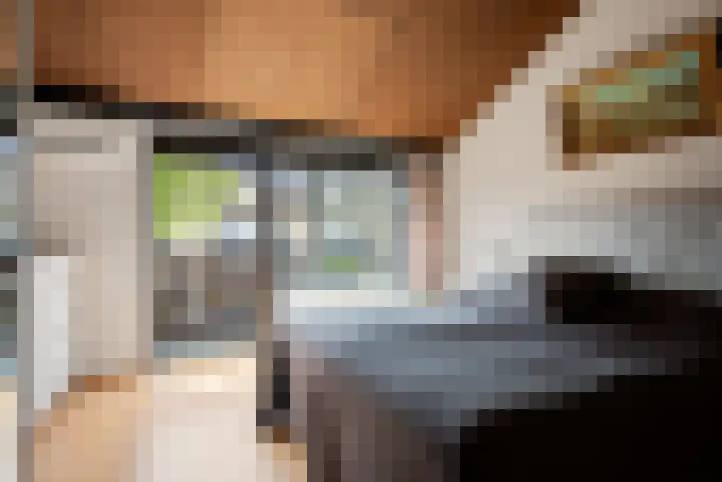 Paasberglaan 26 Eindhoven thumbnail 51