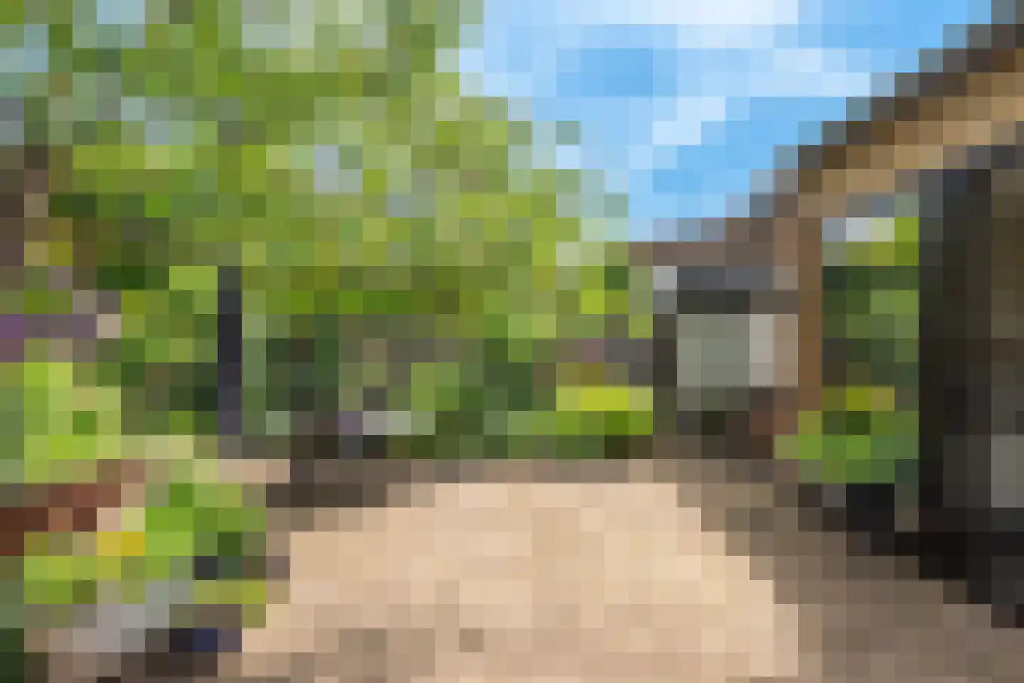 Paasberglaan 26 Eindhoven thumbnail 53
