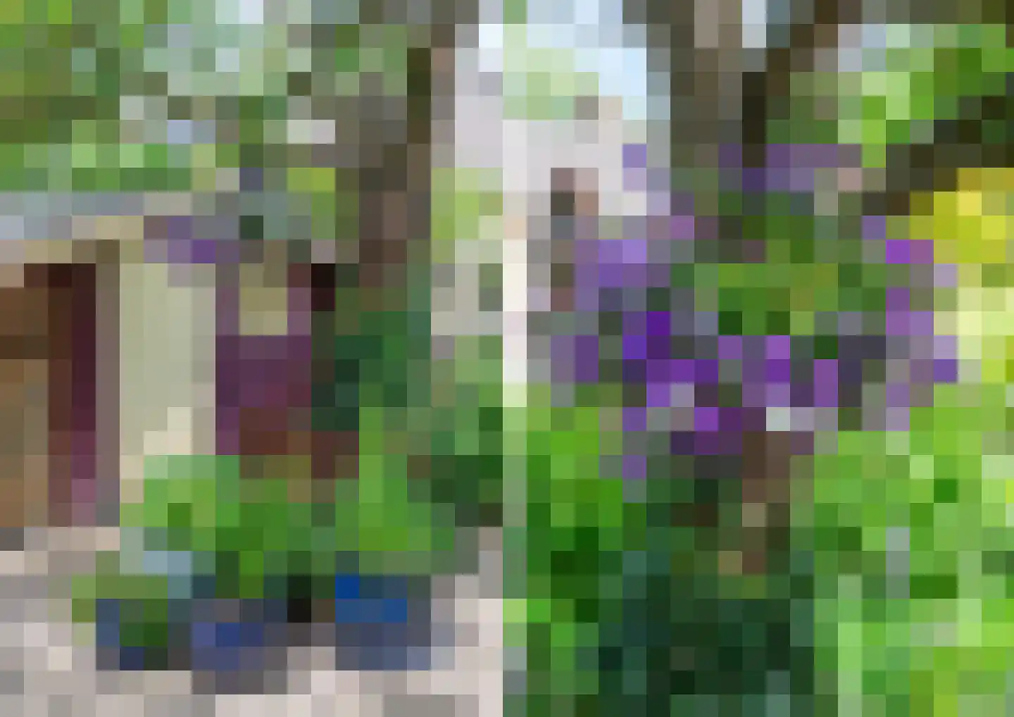 Paasberglaan 26 Eindhoven thumbnail 59