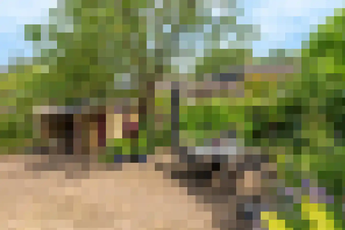 Paasberglaan 26 Eindhoven thumbnail 60