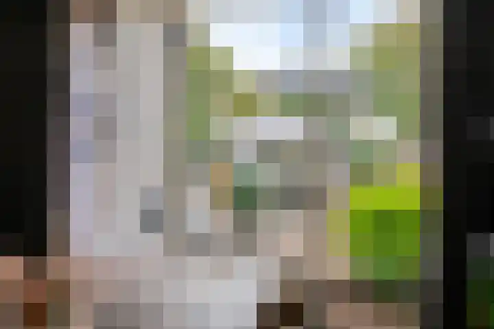 Paasberglaan 34 Eindhoven thumbnail 12