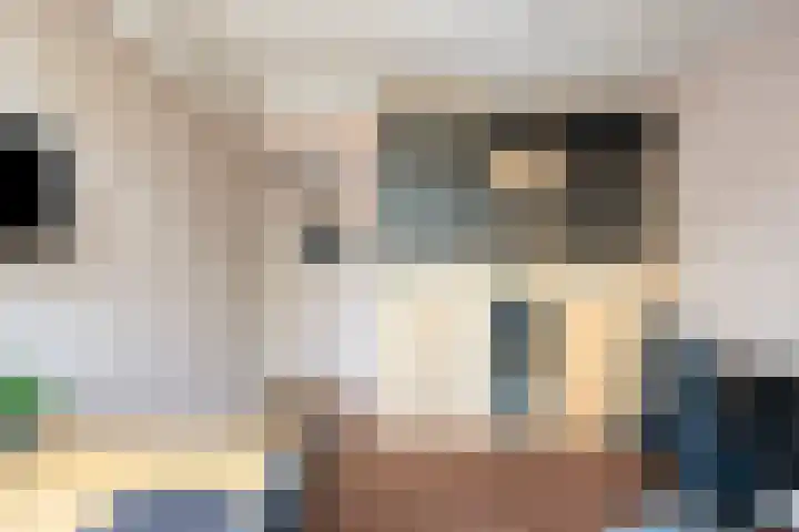 Paasberglaan 34 Eindhoven thumbnail 15