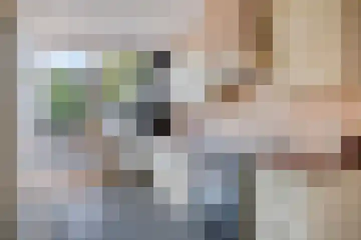 Paasberglaan 34 Eindhoven thumbnail 16