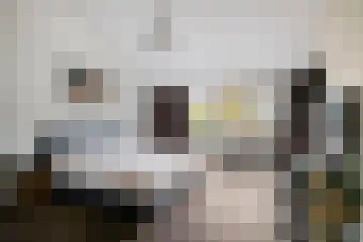 Paasberglaan 34 Eindhoven thumbnail 23