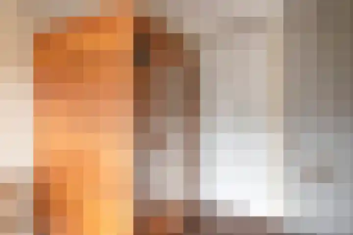 Paasberglaan 34 Eindhoven thumbnail 31