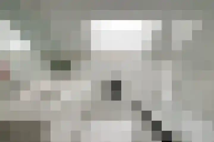 Paasberglaan 34 Eindhoven thumbnail 35