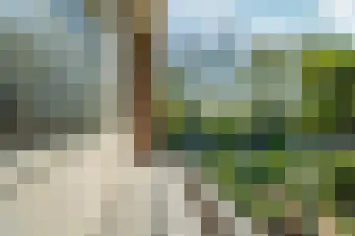 Paasberglaan 45 Arnhem thumbnail 25