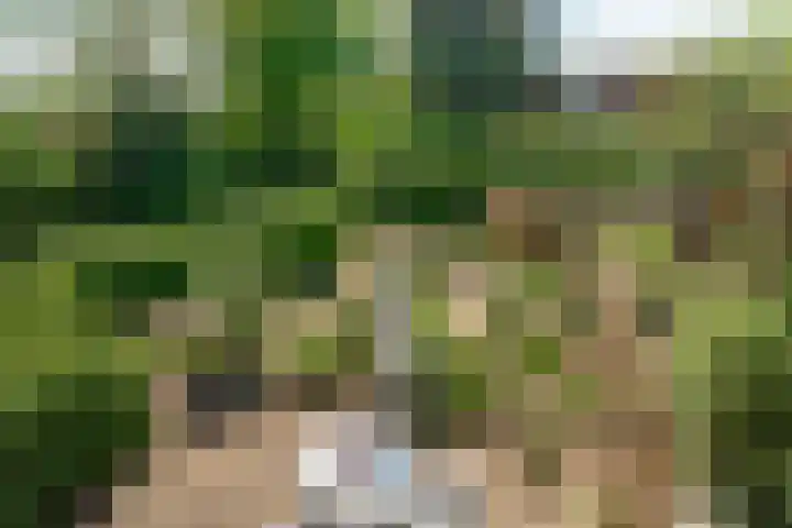 Paasberglaan 45 Arnhem thumbnail 26