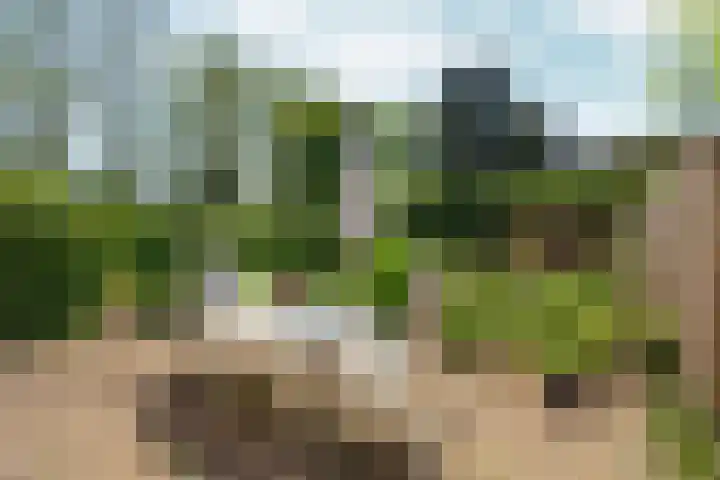 Paasberglaan 45 Arnhem thumbnail 36