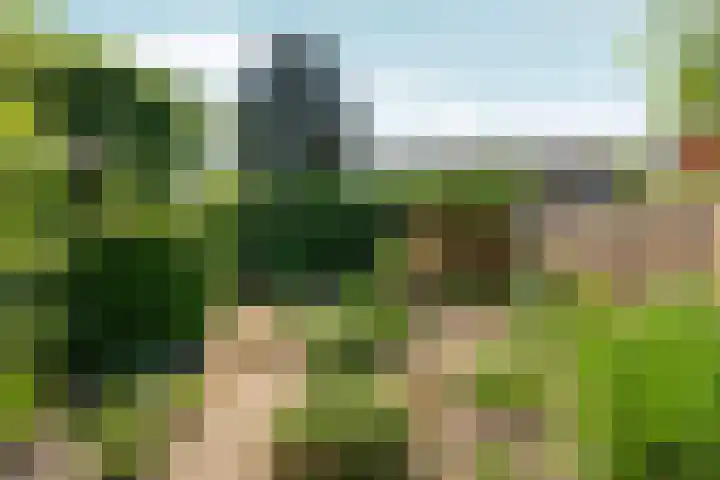 Paasberglaan 45 Arnhem thumbnail 38