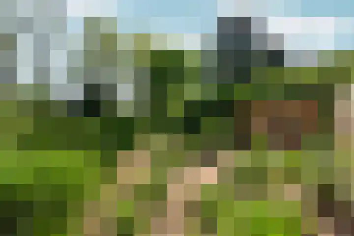 Paasberglaan 45 Arnhem thumbnail 39
