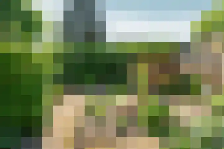 Paasberglaan 45 Arnhem thumbnail 41