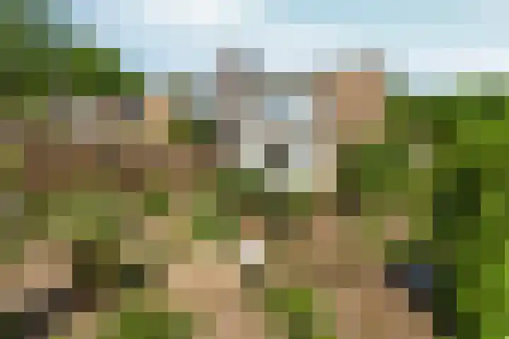 Paasberglaan 45 Arnhem thumbnail 42