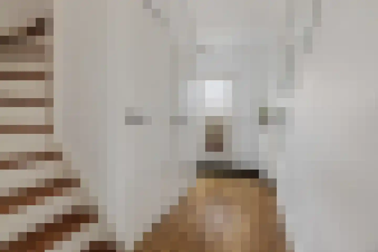 Paasberglaan 45 Eindhoven thumbnail 11