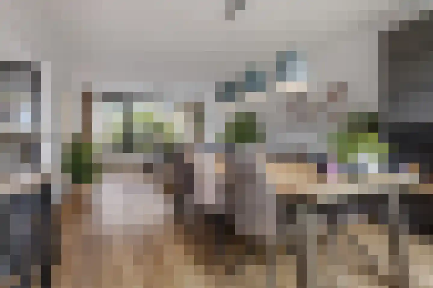 Paasberglaan 45 Eindhoven thumbnail 19