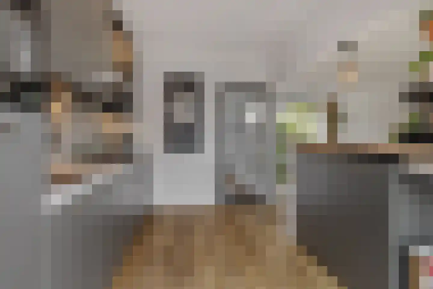 Paasberglaan 45 Eindhoven thumbnail 23