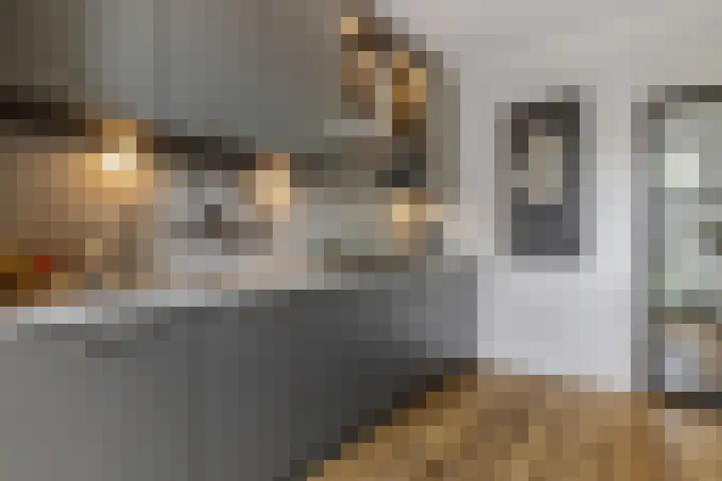 Paasberglaan 45 Eindhoven thumbnail 24