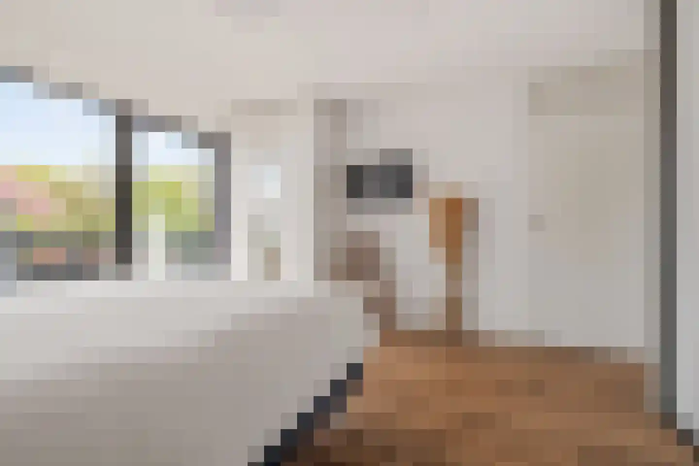 Paasberglaan 45 Eindhoven thumbnail 31