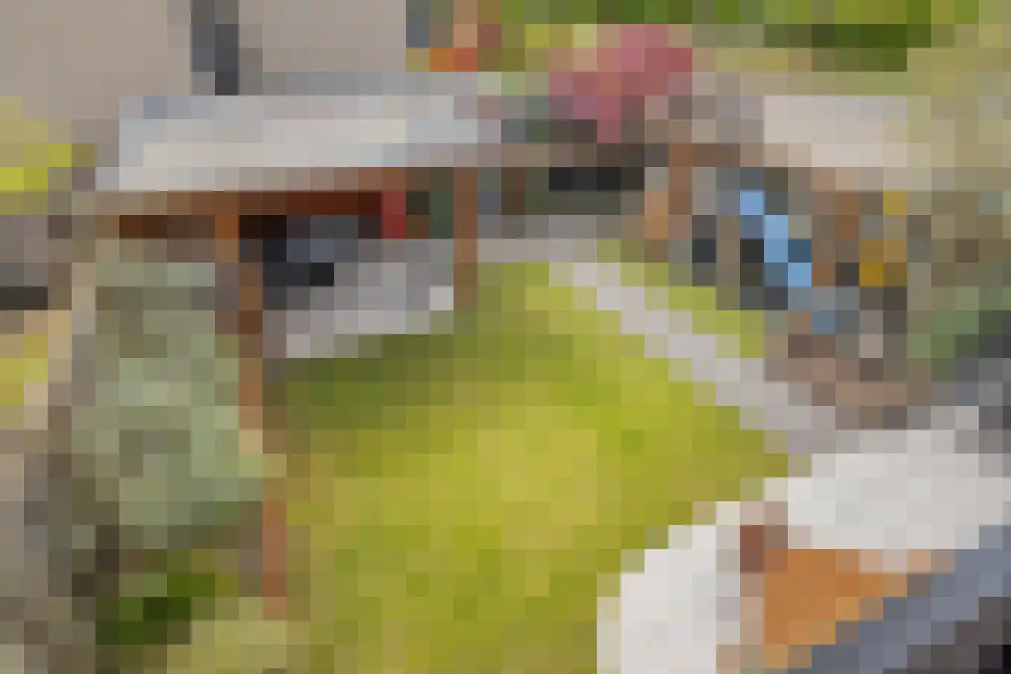 Paasberglaan 45 Eindhoven thumbnail 33