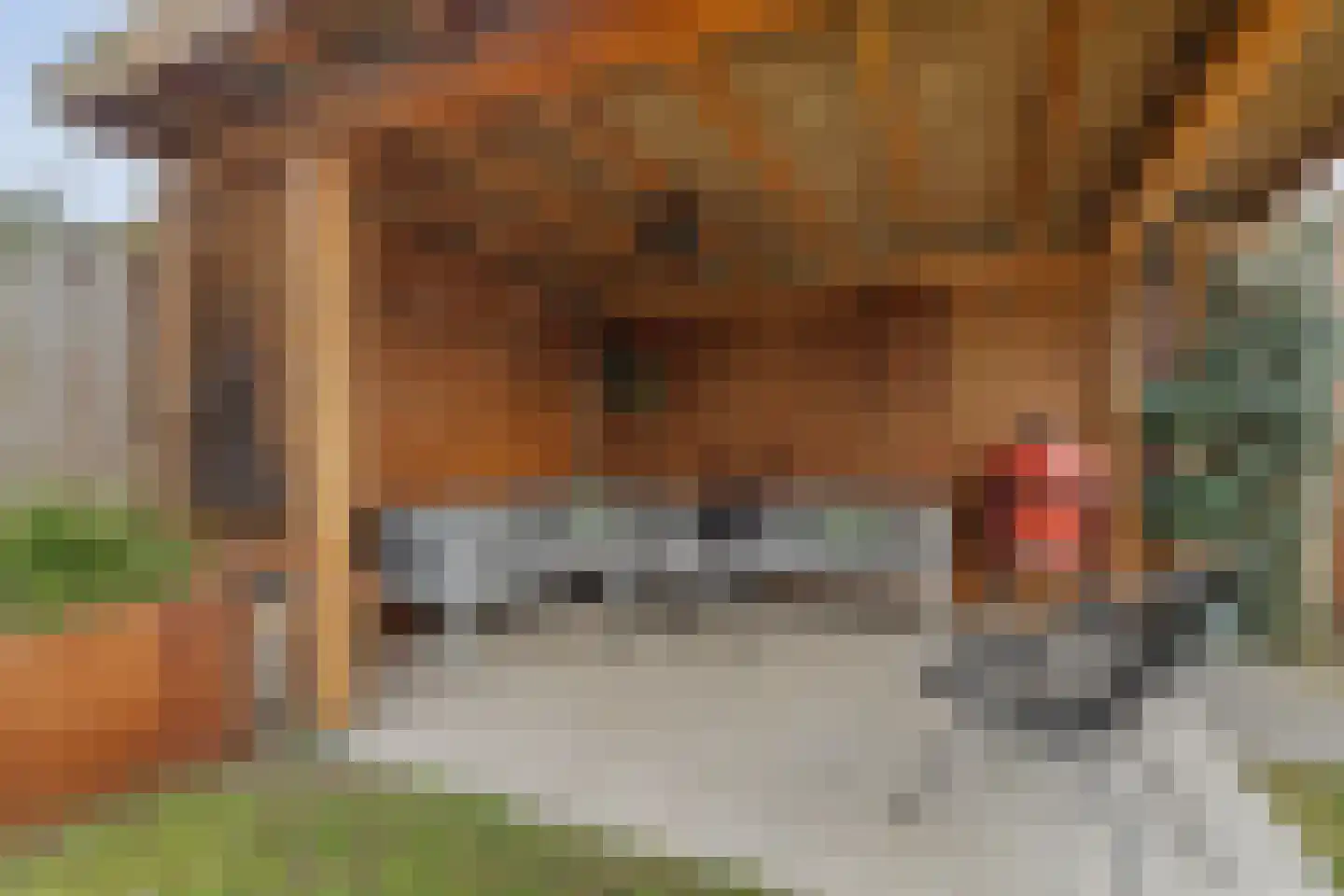 Paasberglaan 45 Eindhoven thumbnail 51
