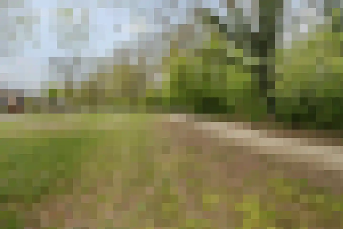 Paasberglaan 45 Eindhoven thumbnail 58