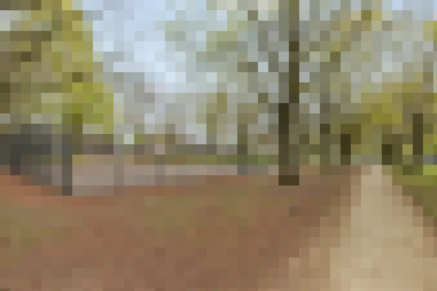 Paasberglaan 45 Eindhoven thumbnail 59