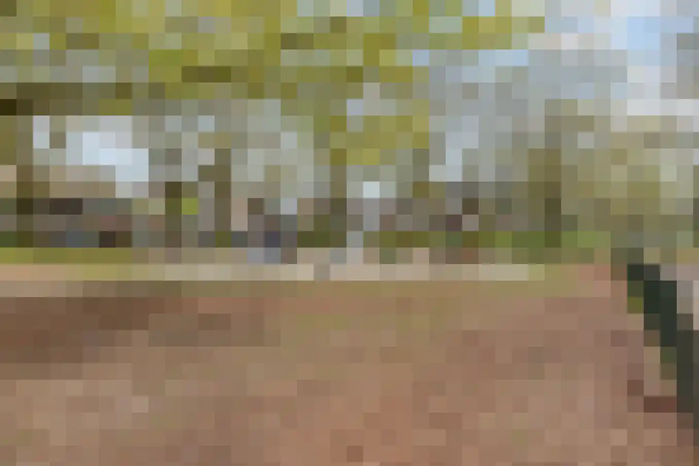 Paasberglaan 45 Eindhoven thumbnail 60