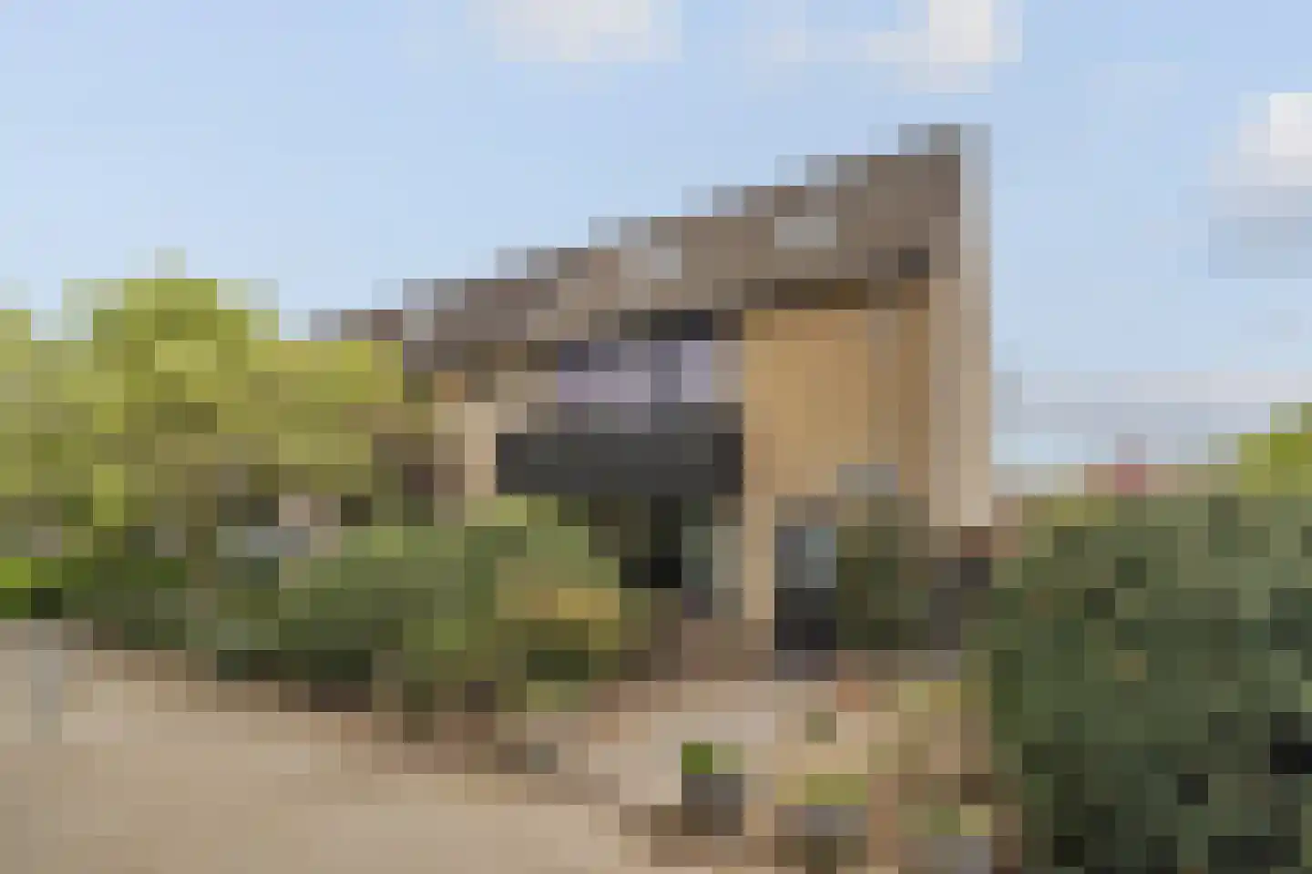 Paasberglaan 45 Eindhoven thumbnail 7