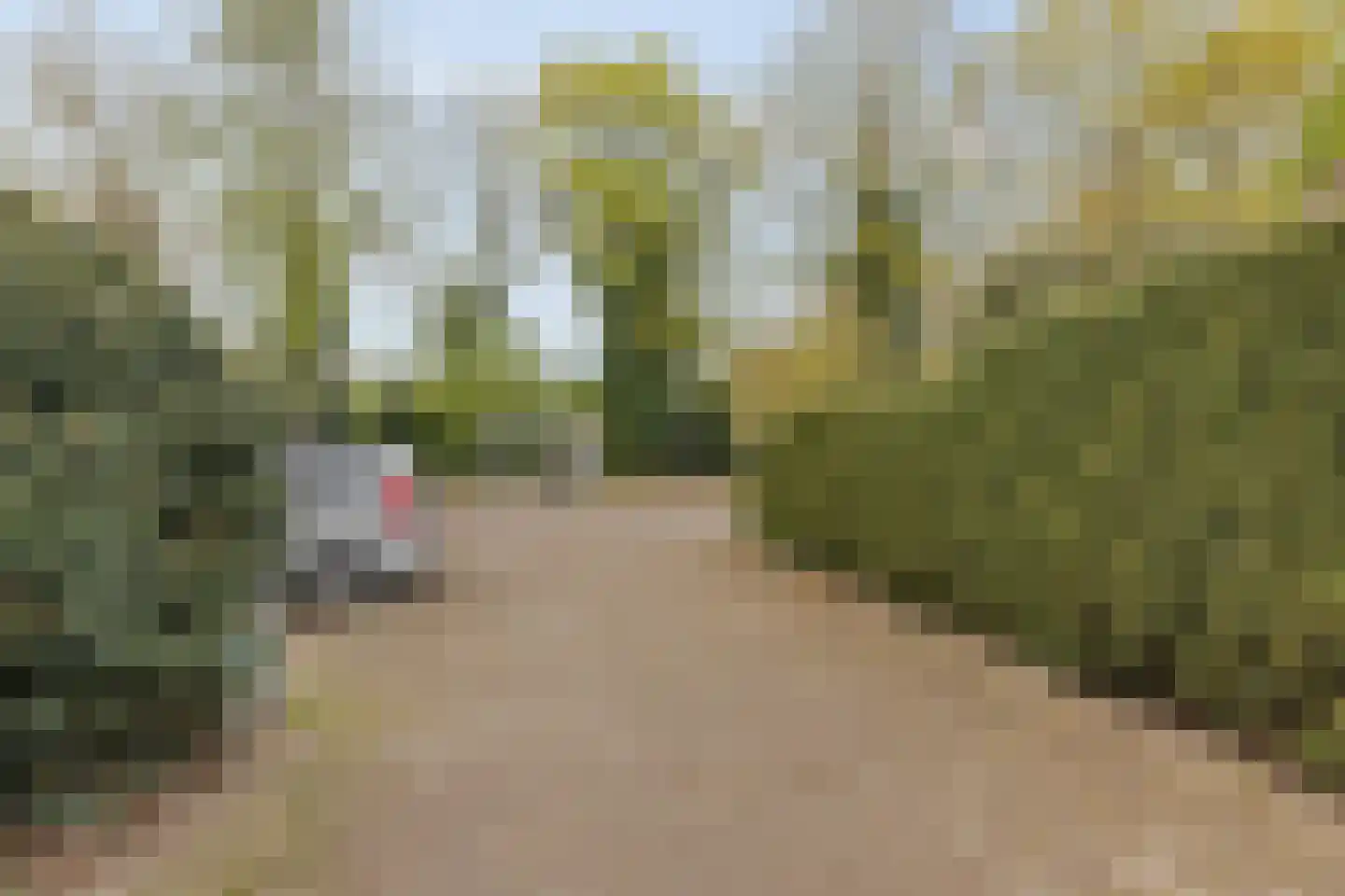 Paasberglaan 45 Eindhoven thumbnail 8