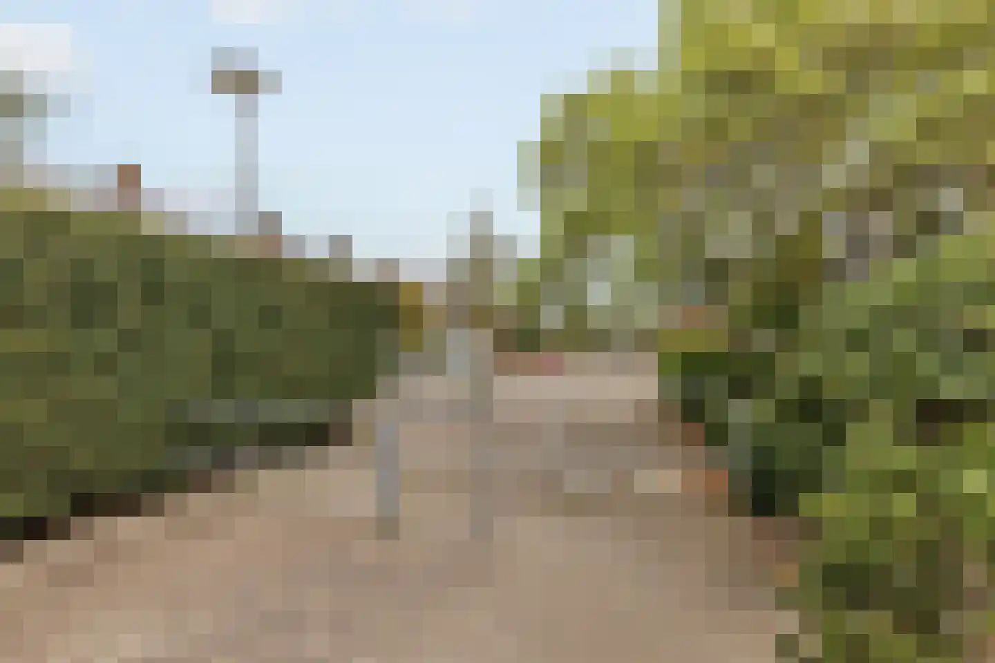 Paasberglaan 45 Eindhoven thumbnail 9