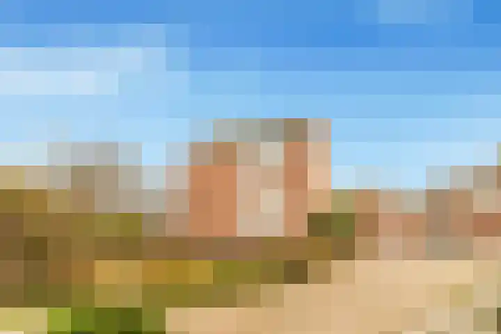 Paasdal 39 Wijk aan Zee thumbnail 10