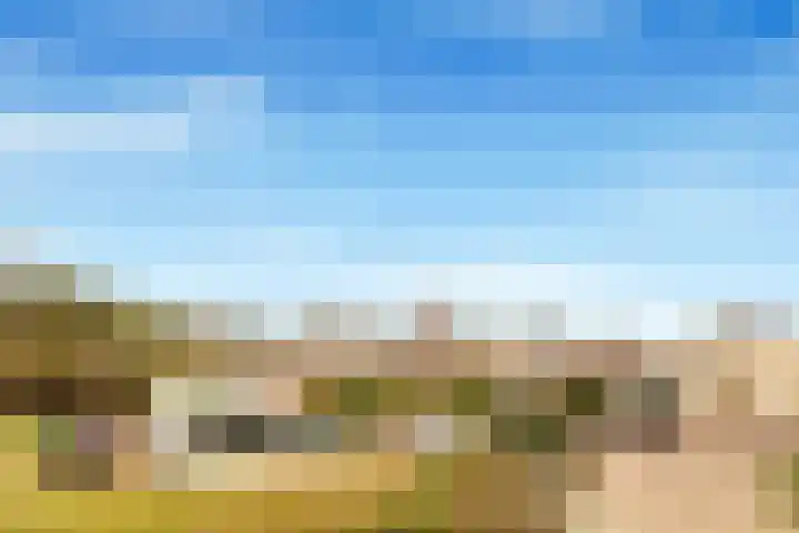 Paasdal 39 Wijk aan Zee thumbnail 11