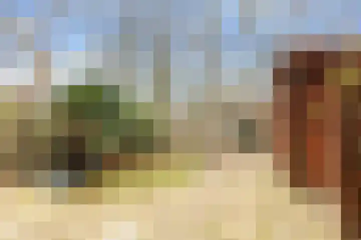 Paasdal 39 Wijk aan Zee thumbnail 34