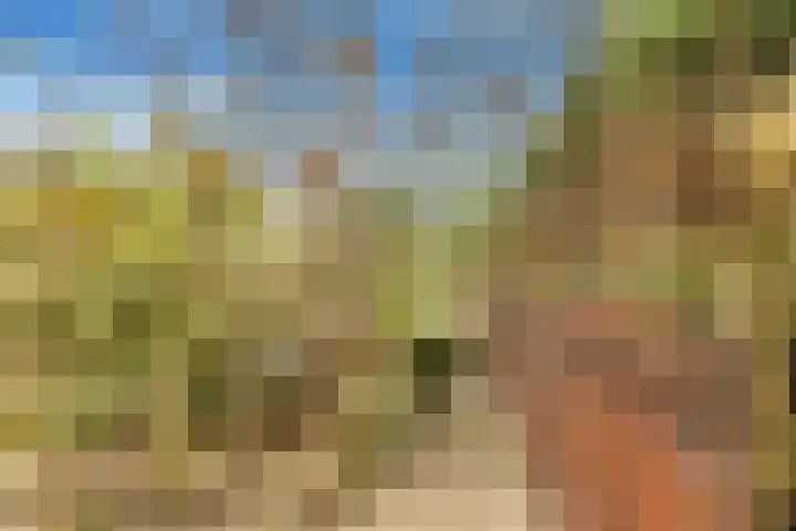 Paasdal 39 Wijk aan Zee thumbnail 35