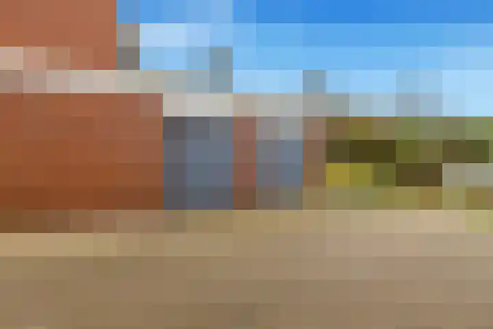 Paasdal 39 Wijk aan Zee thumbnail 37