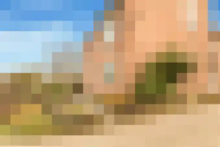 Paasdal 39 Wijk aan Zee thumbnail 8