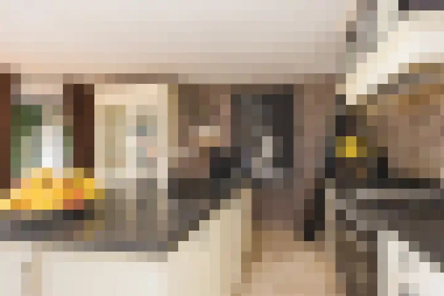 Paasdijk 1 Losser thumbnail 13