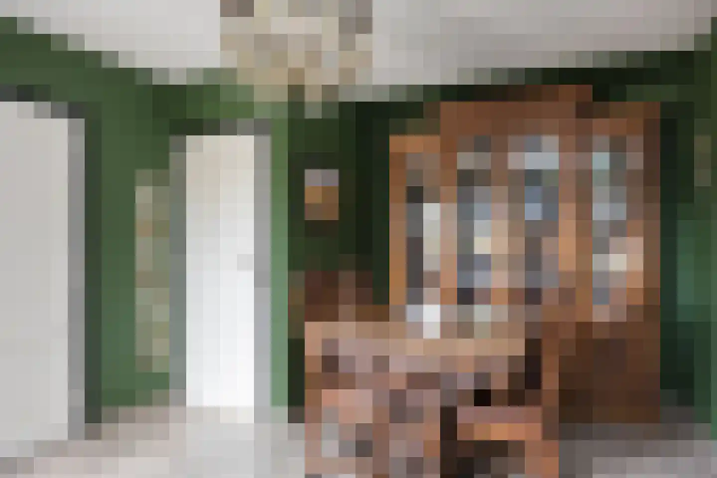 Paasdijk 1 Losser thumbnail 16