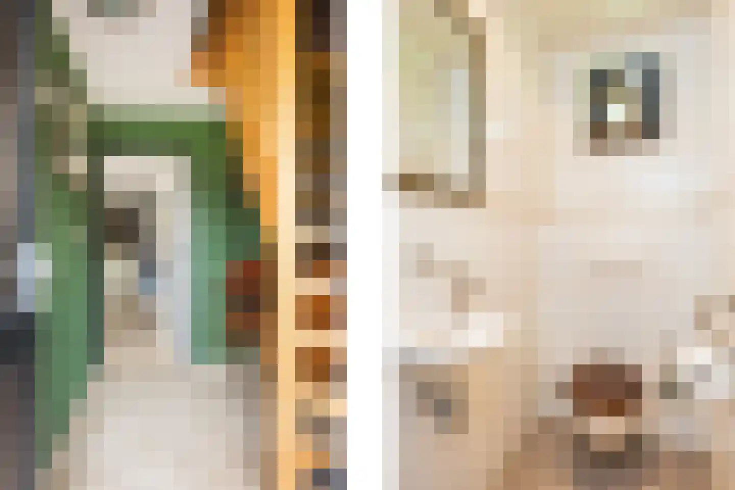 Paasdijk 1 Losser thumbnail 24