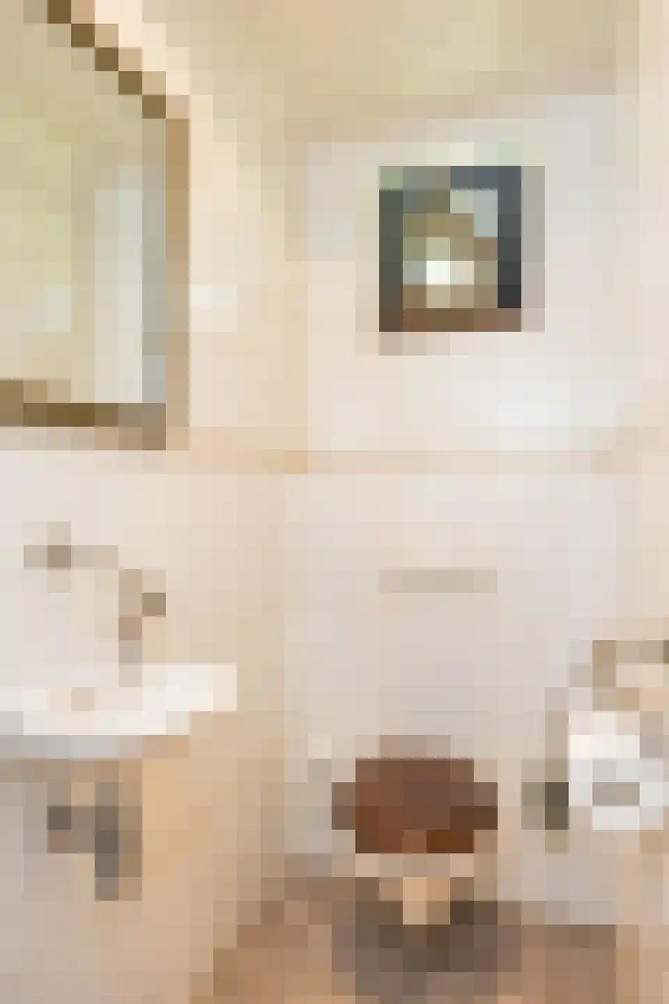 Paasdijk 1 Losser thumbnail 26