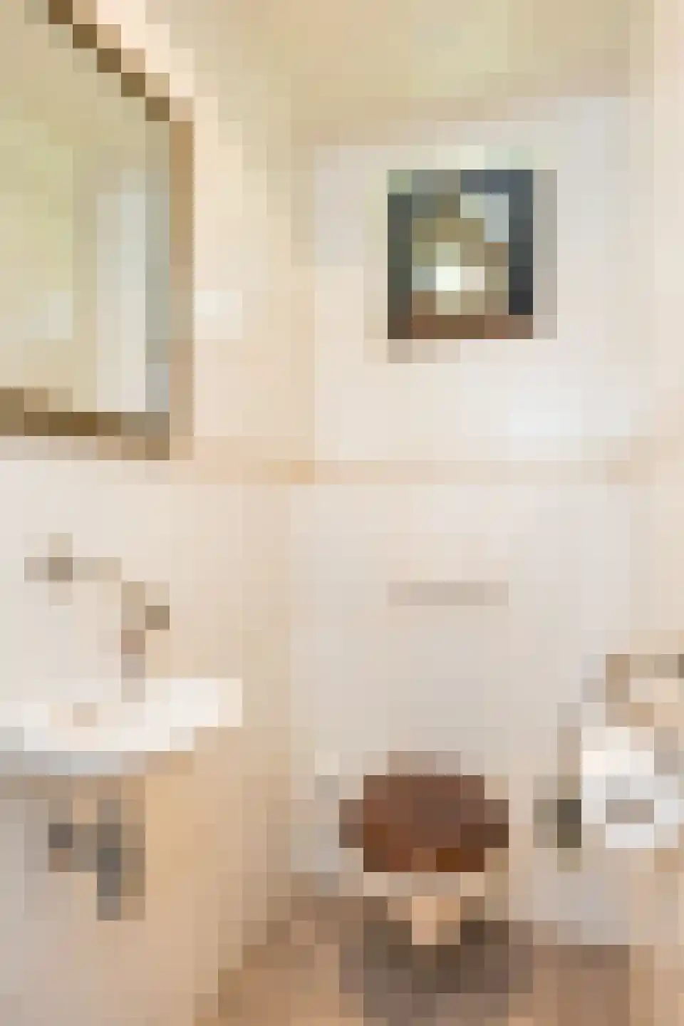 Paasdijk 1 Losser thumbnail 26