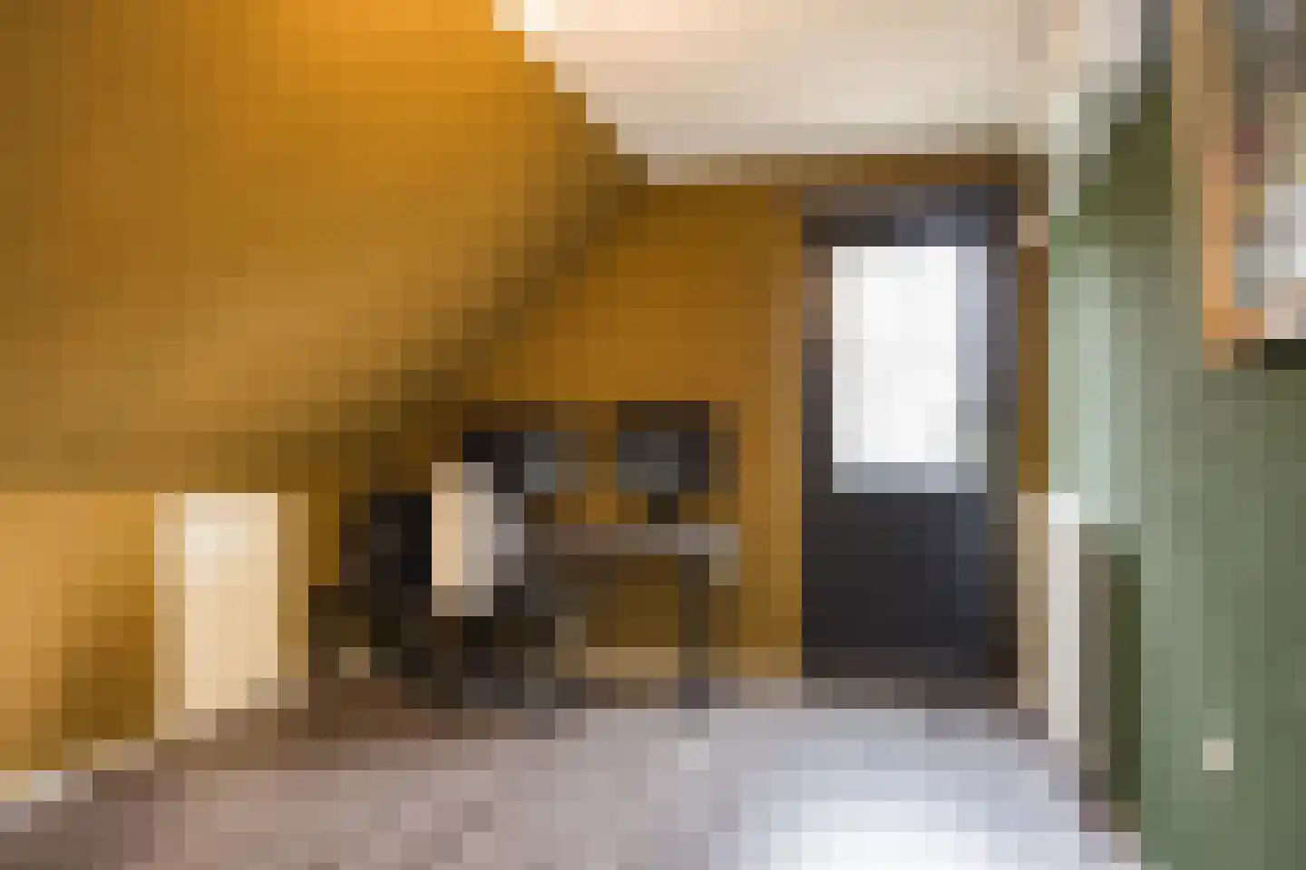 Paasdijk 1 Losser thumbnail 29