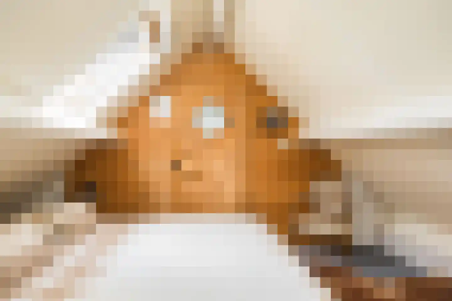 Paasdijk 1 Losser thumbnail 31