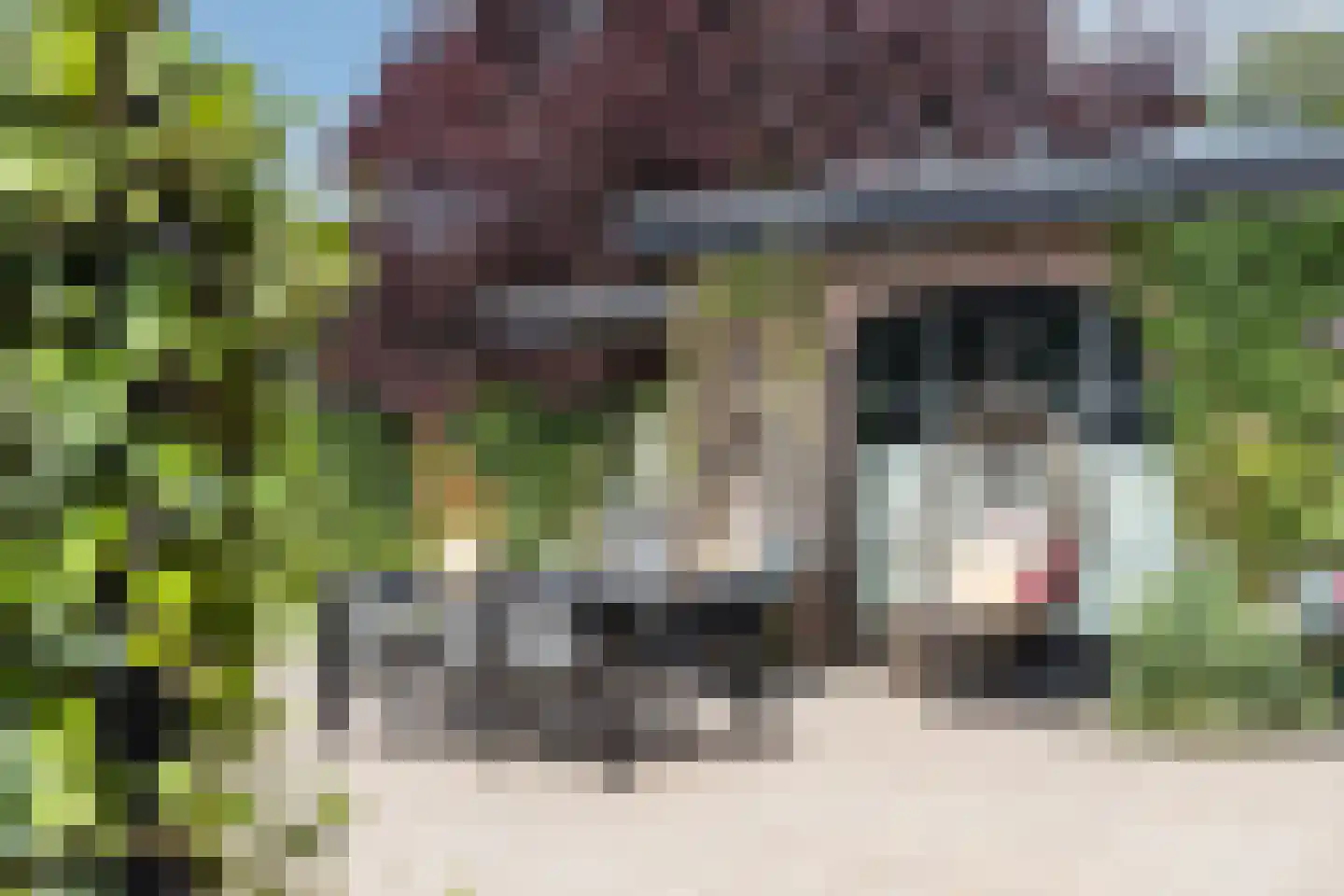 Paasdijk 1 Losser thumbnail 37