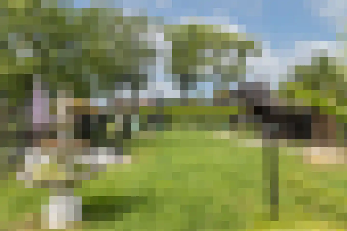Paasdijk 1 Losser thumbnail 41