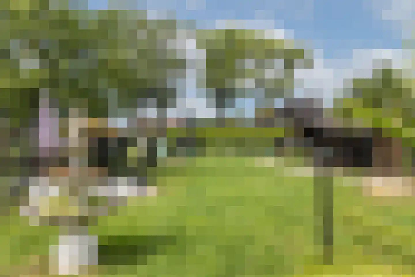 Paasdijk 1 Losser thumbnail 41