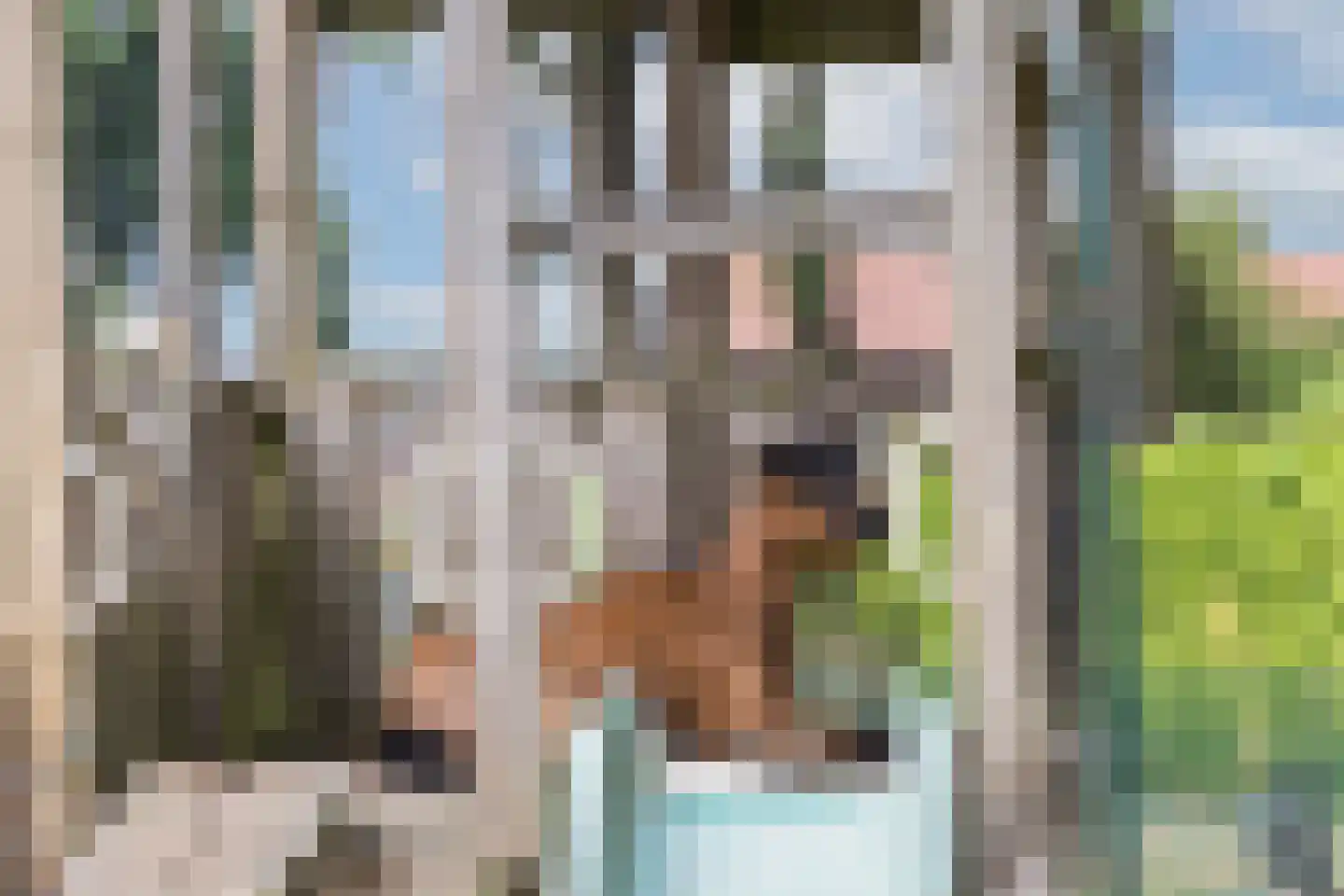 Paasdijk 1 Losser thumbnail 42