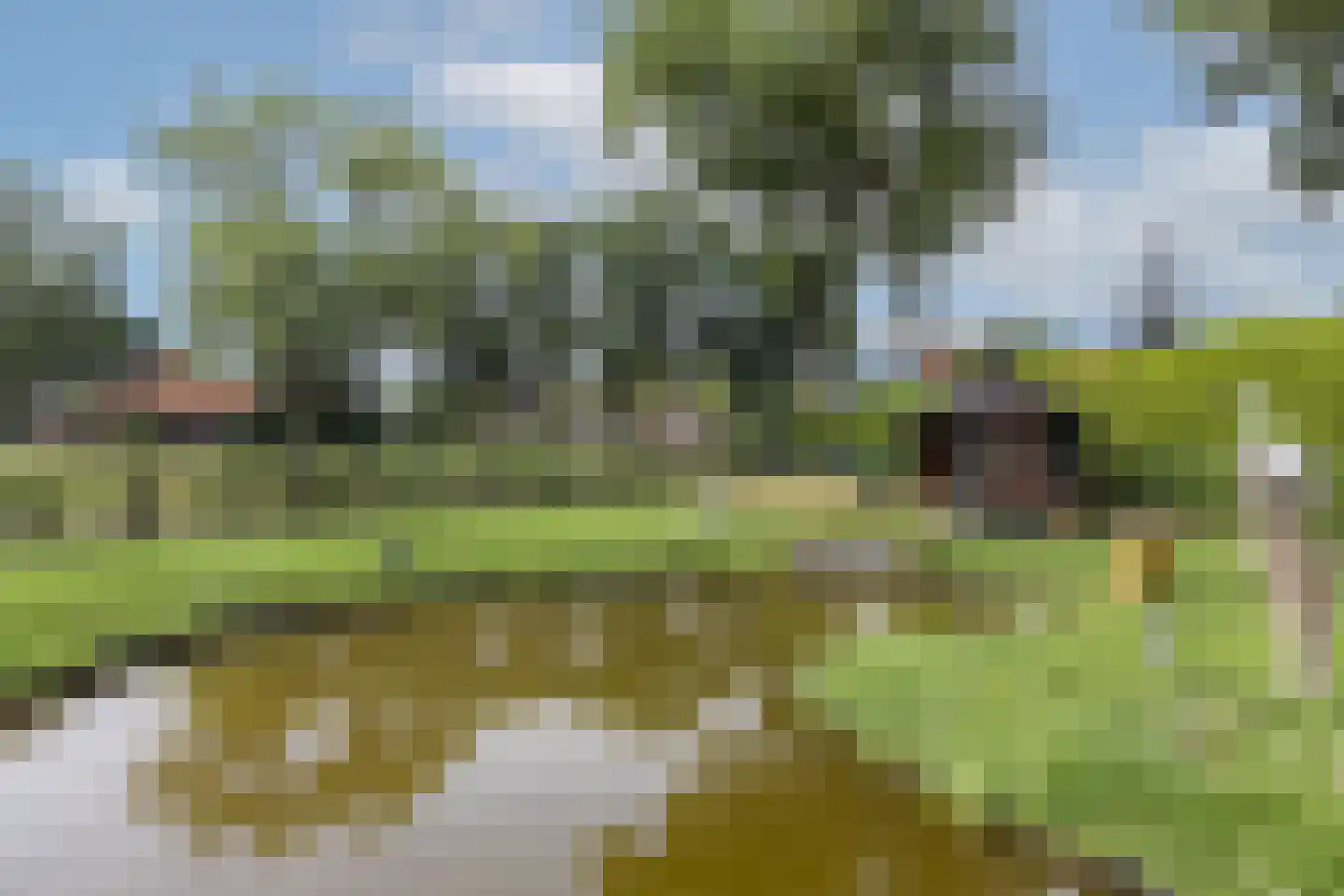 Paasdijk 1 Losser thumbnail 43